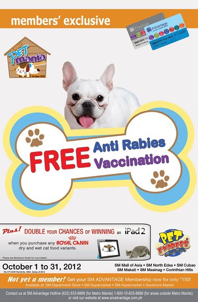 anti rabies for puppy