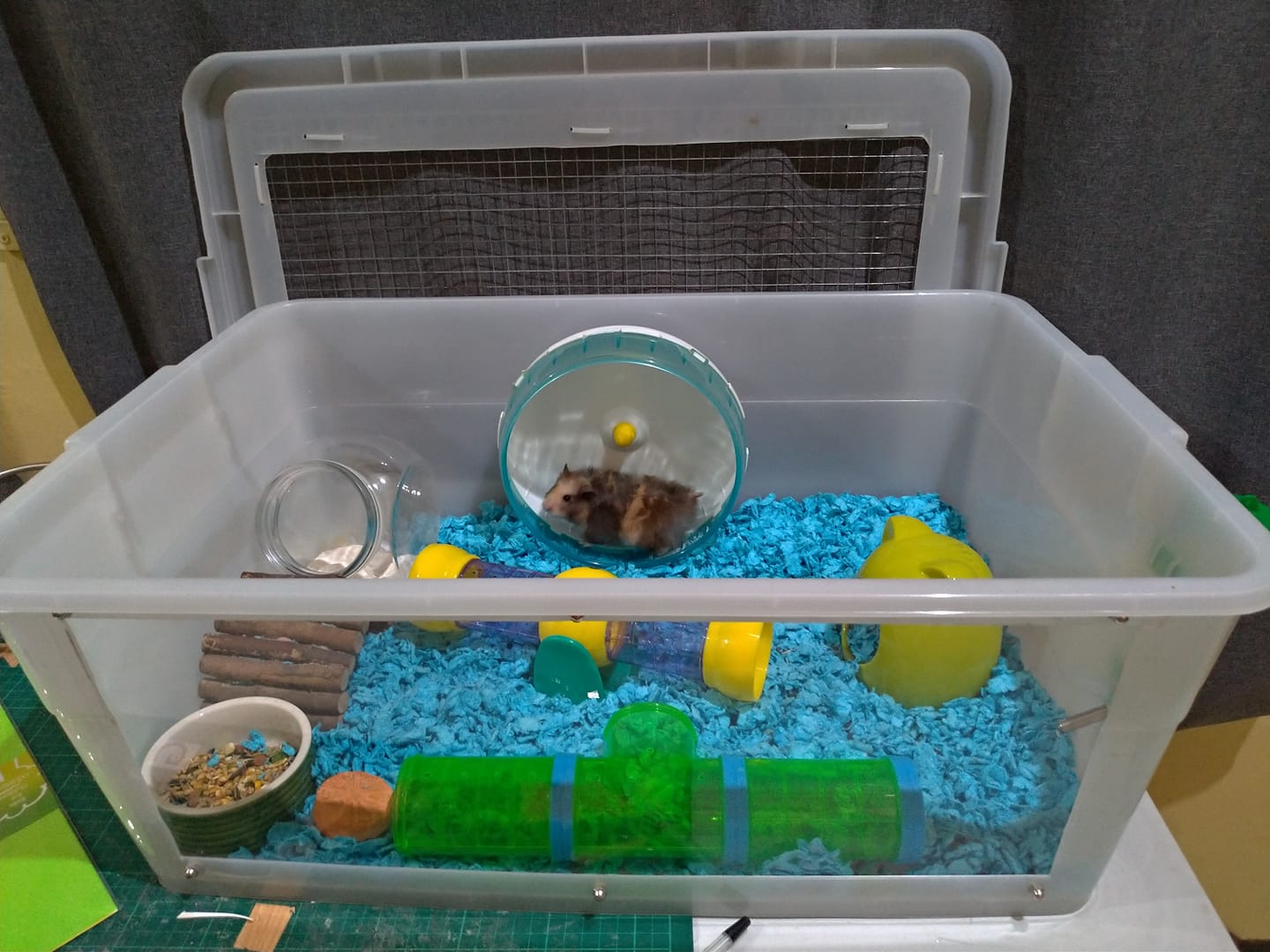 Hamster Bin Cages by Philippine Hamster Keepers