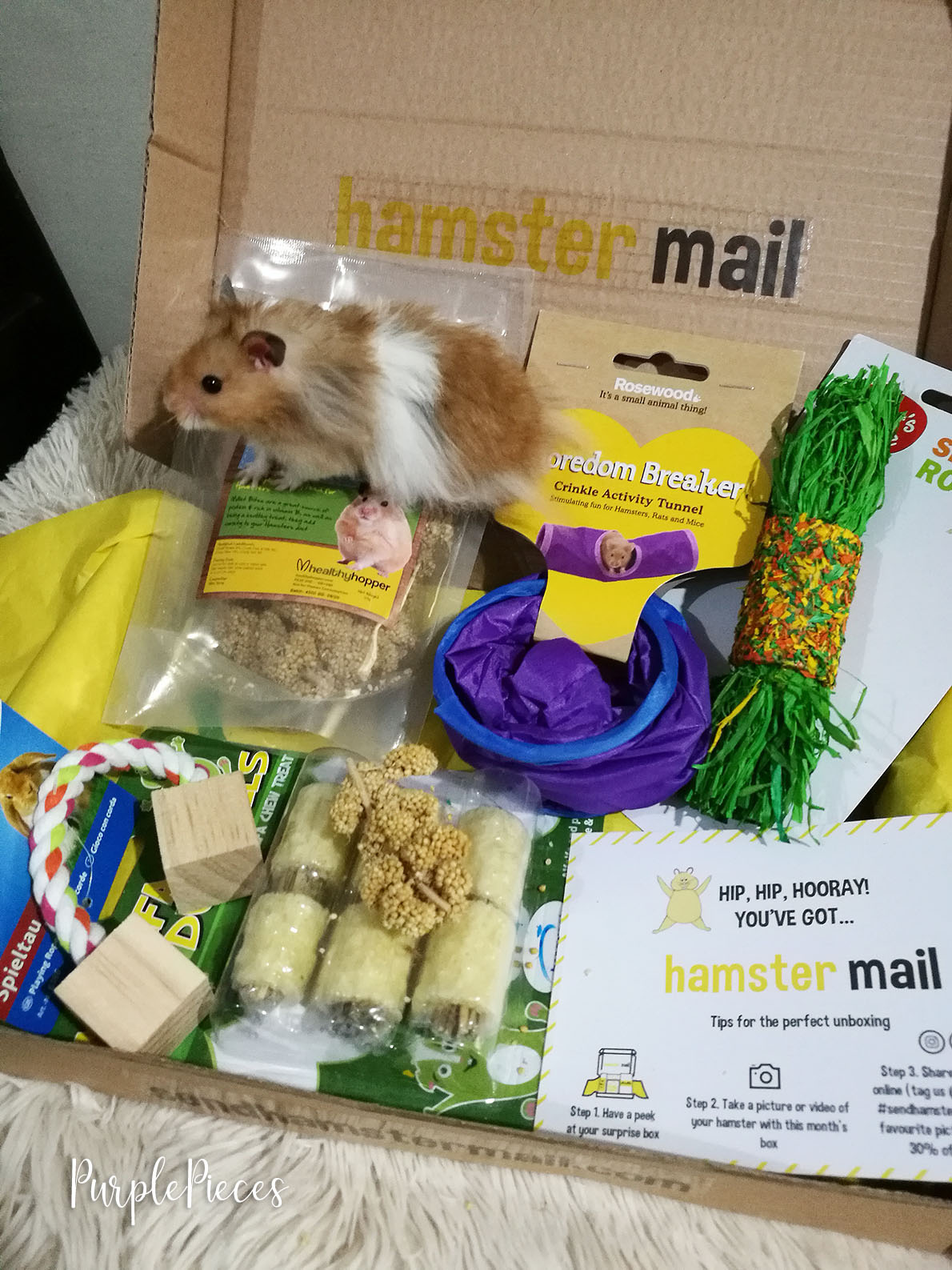 small animal subscription box