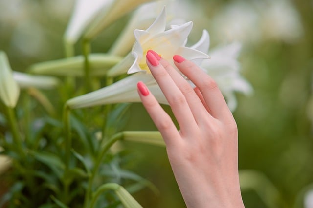 Why do People Go to Nail Salons?